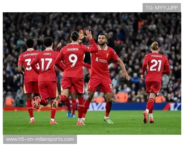 布莱顿战利物浦比赛中攻防精彩交替