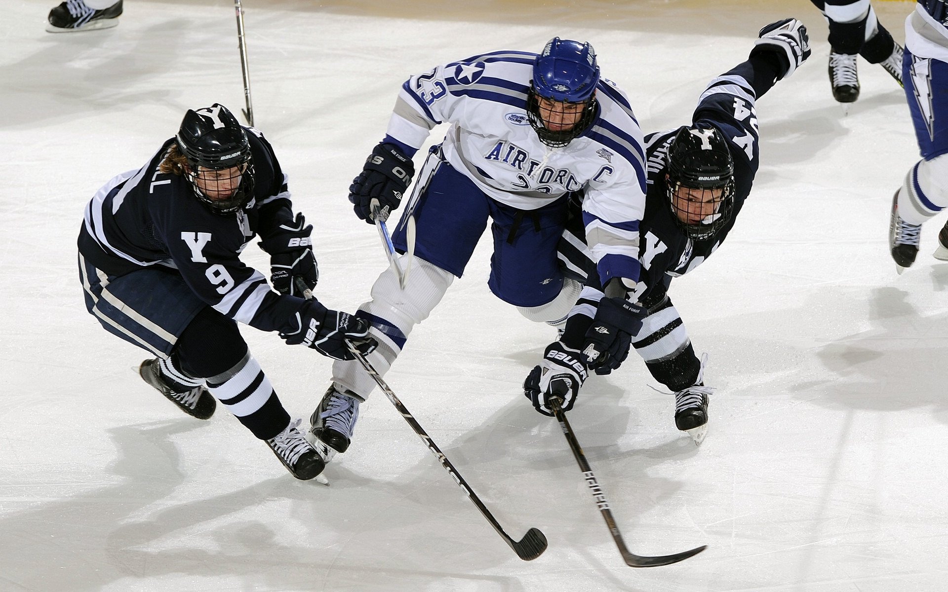 国际游泳精英赛中国队多人破纪录，国际游泳冠军系列赛